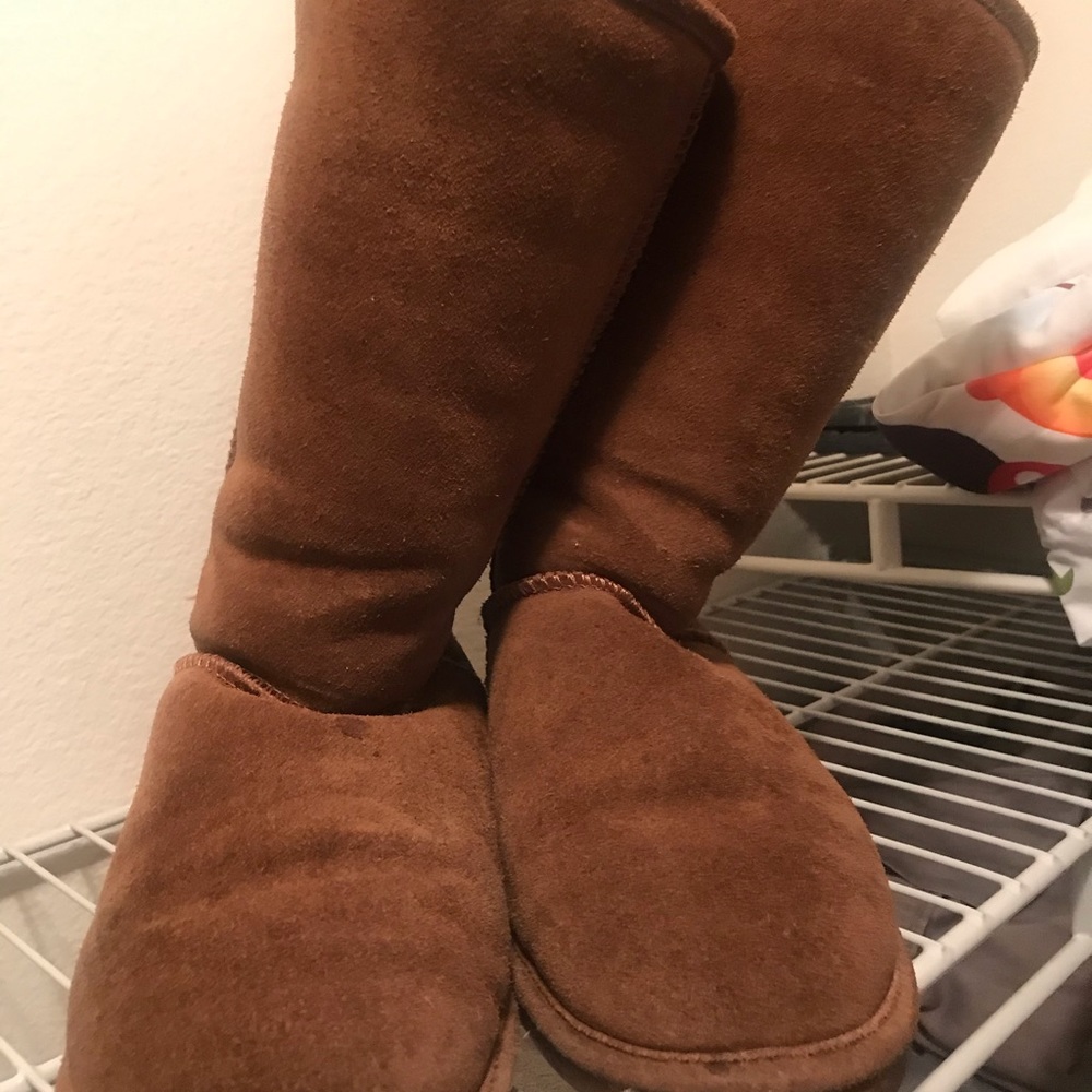 Bear Paws